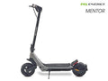 MS ENERGY E-ROMOBIL MENTOR grey