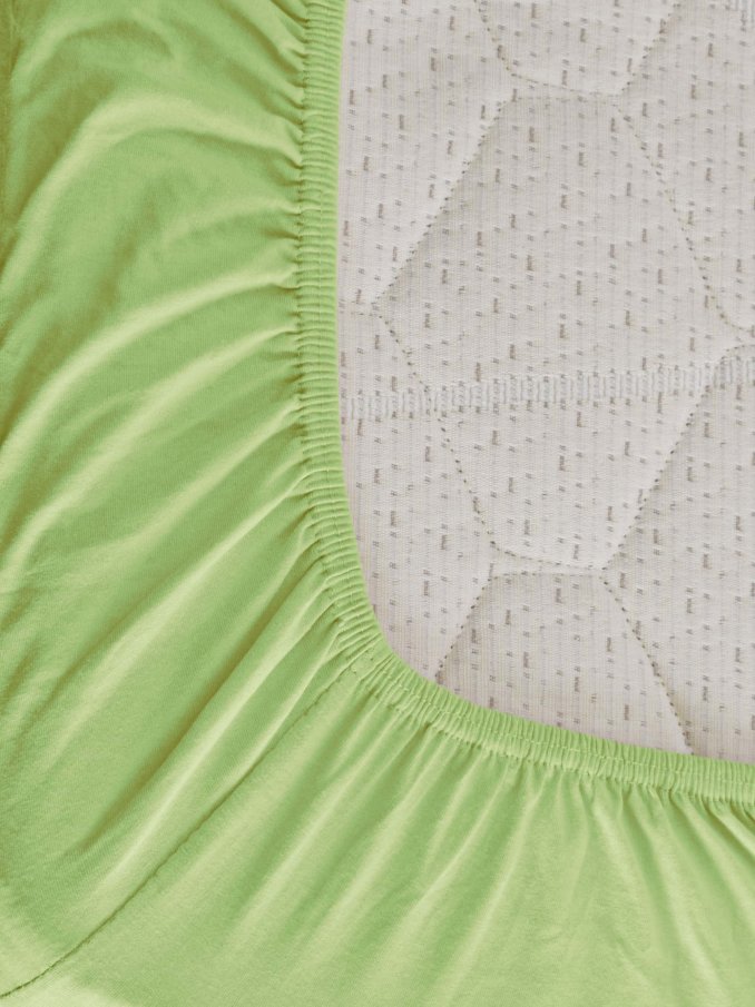 Plahta s gumicom Dalija Green 160x200+30cm