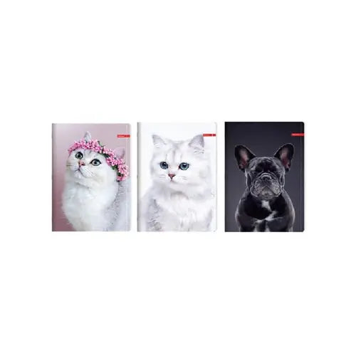Set od 10 bilježnica Ilijanum A4 70g 52L kocke pets