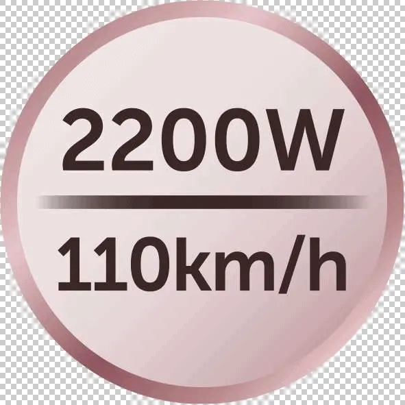 Sušilo za kosu Remington D5901 Coconut