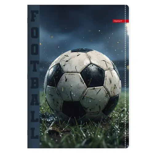 Set od 10 bilježnica Ilijanum A4 70g 52L čista sport