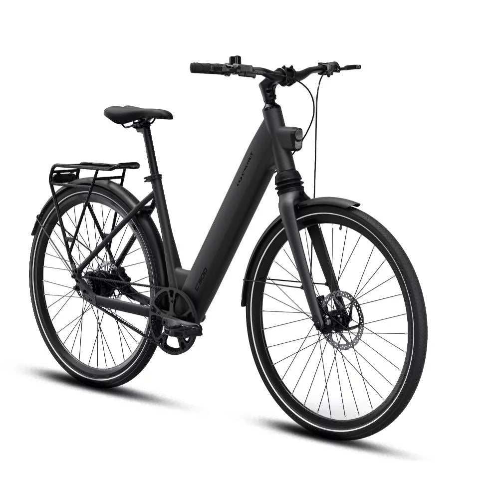 MS ENERGY eBike c300