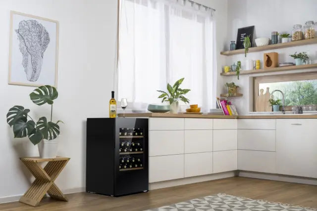 Vinski hladnjak Gorenje WC48G4BG4