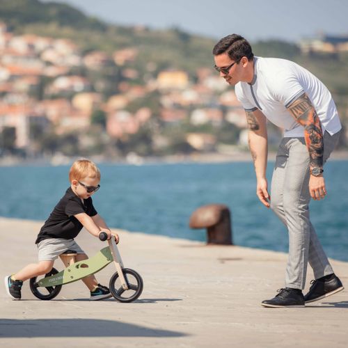 FREE 2 MOVE drveni tricikl bez pedala 2u1 Rider, zeleni 39623