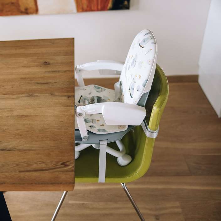FREEON prijenosna stolica Levi sklopivi Owls 49560